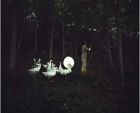 agnes meyer brandis moon goose colony